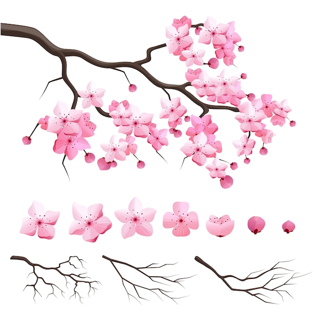 Vector gratuito vector rama de cerezo de sakura de japón con flores florecientes. constructor de diseño con rama de cerezo en flor