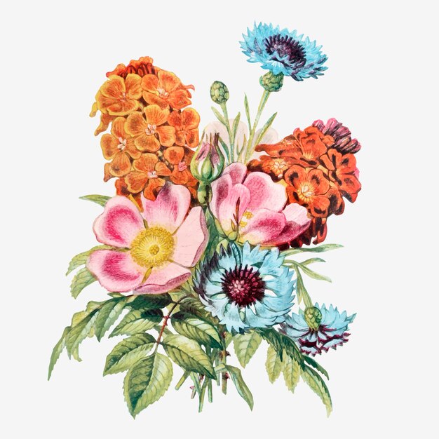 Vector de ramo de flores de verano vintage