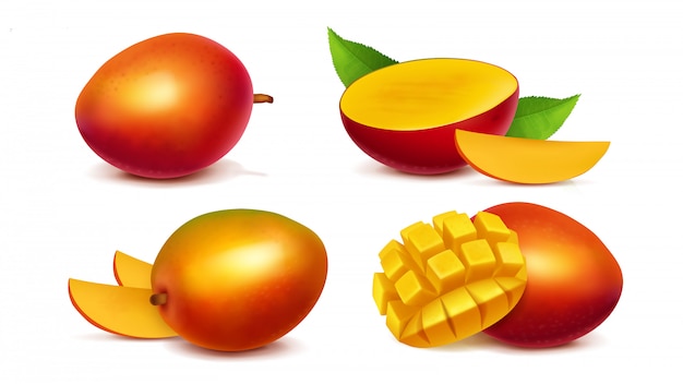 Vector realista entero y en rodajas de mango