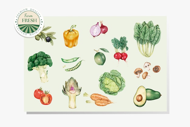 Vector de vegetales frescos saludables