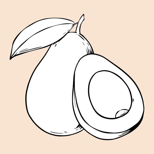 Vector vintage aguacate blanco y negro clipart