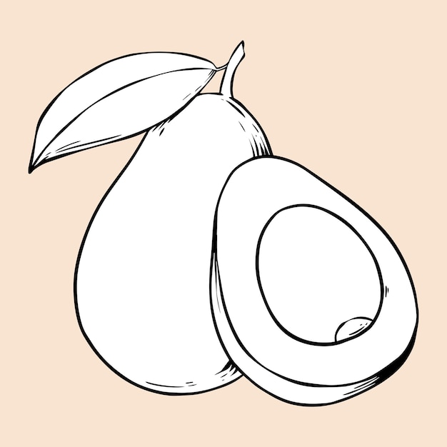 Vector vintage aguacate blanco y negro clipart