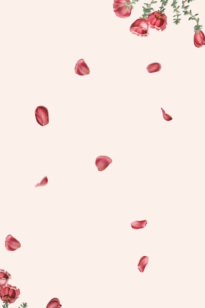 Verdolaga roja sobre fondo rosa