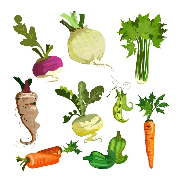 Verduras de set de jardin