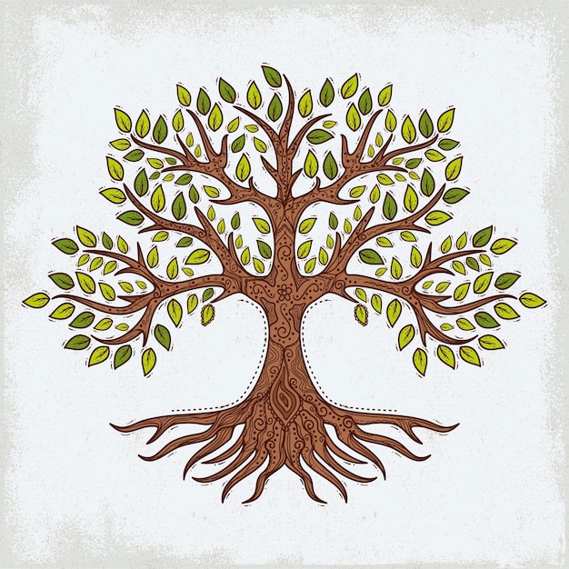 Vida arbol dibujada a mano