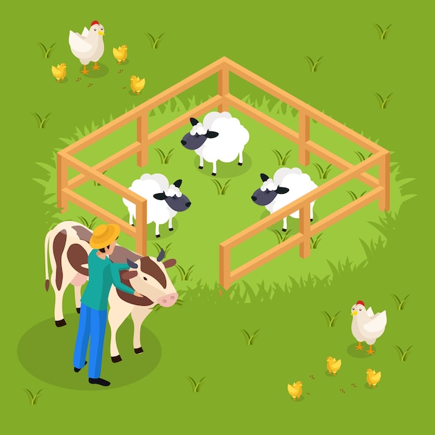 Vector gratuito la vida de los granjeros ordinarios es isométrica con ganado y animales de granja y el carácter humano abrazando la ilustración de vaca