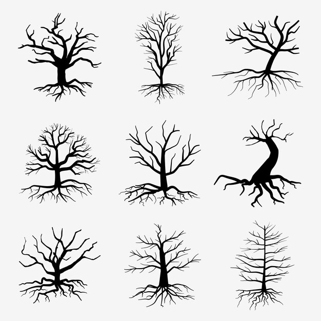 Viejos árboles oscuros con raíces. árboles forestales muertos. Ilustración de árbol muerto silueta negra