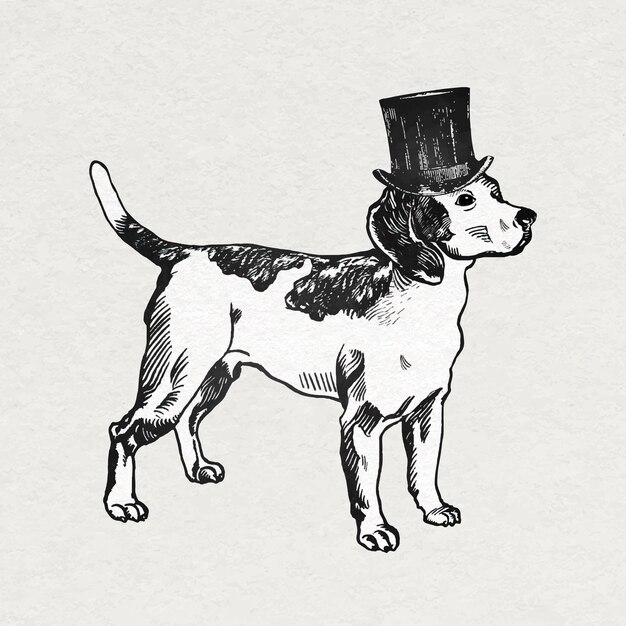 Vinilo decorativo perro beagle vintage con sombrero de copa