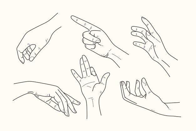 Vinilos manos elegantes line art