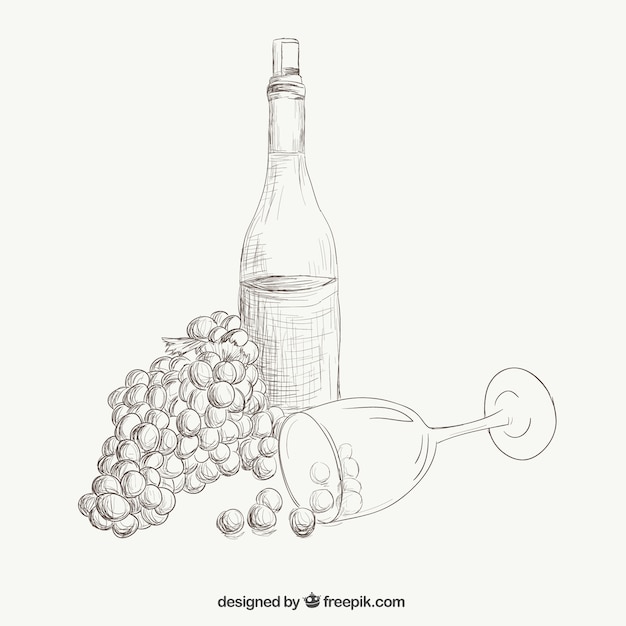 Vino y uvas ilustración