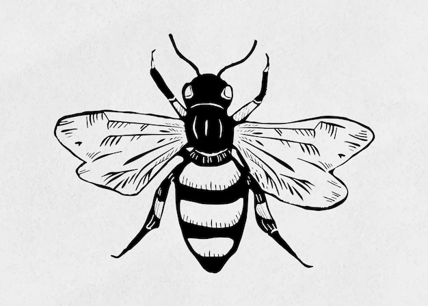 Vintage, abeja, insecto, linograbado, plantilla, patrón clipart