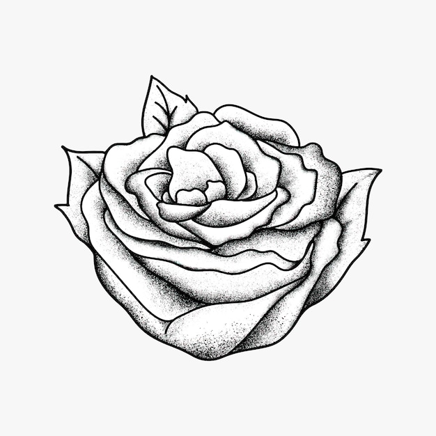 Vintage rosa vieja escuela flash tatuaje diseño símbolo vector