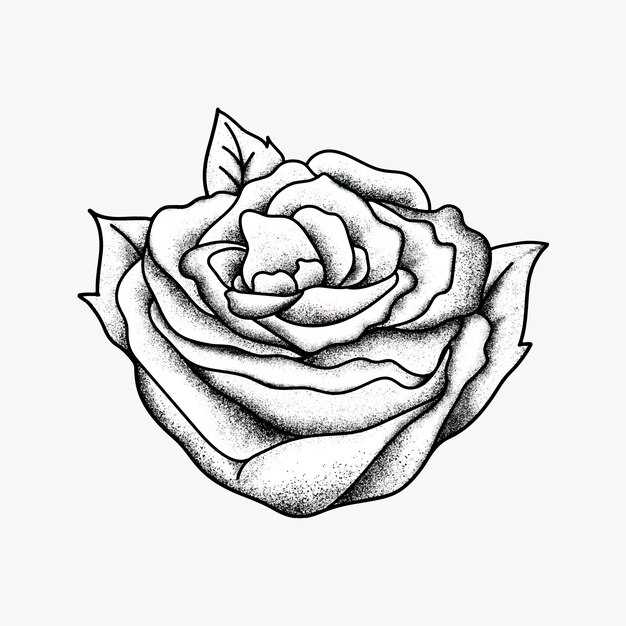 Vintage rosa vieja escuela flash tatuaje diseño símbolo vector