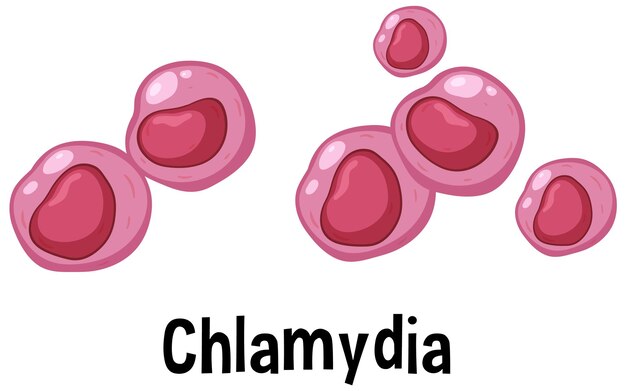 Virus de la clamidia con texto