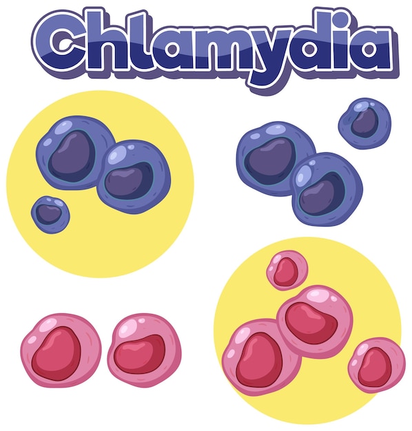 Virus de la clamidia trachomatis sobre fondo blanco
