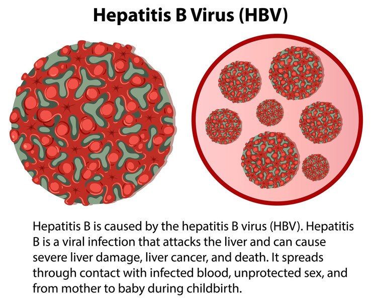 Vector gratuito virus de la hepatitis b vhb con explicación