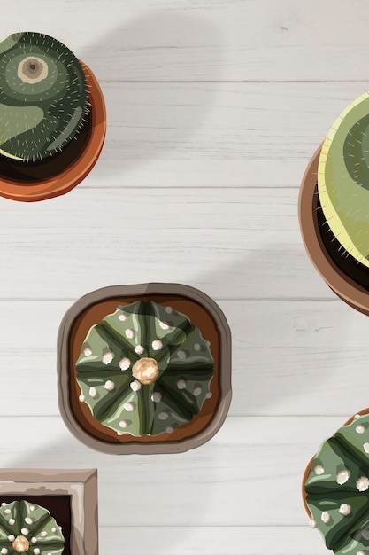 Vista aérea de cactus en un vector de fondo de pantalla de mesa beige