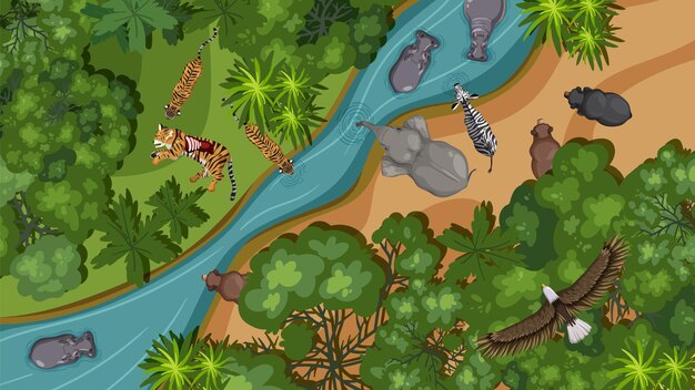 Vista aérea de la vida silvestre de la selva