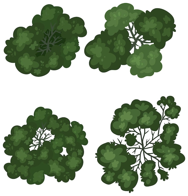 Vista de arriba de la variedad de vegetación