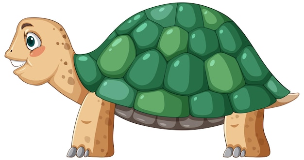 Vista lateral de tortuga con caparazón verde en estilo de dibujos animados