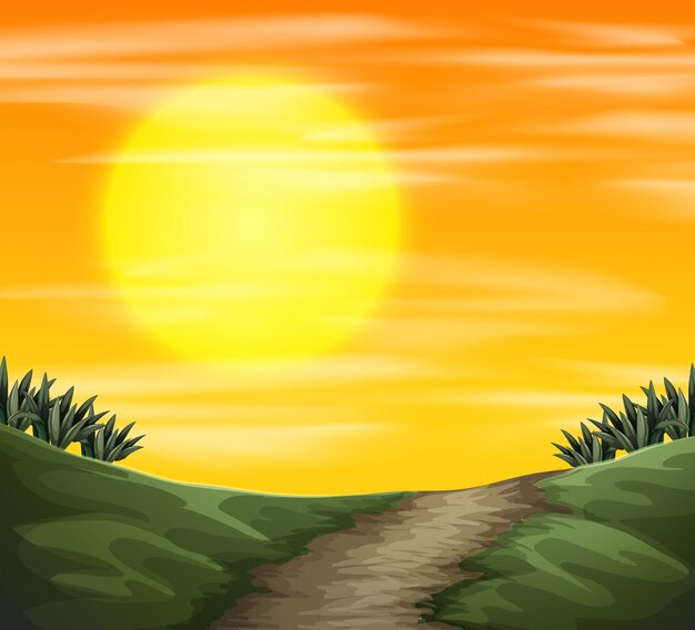 Una vista de la naturaleza puesta de sol