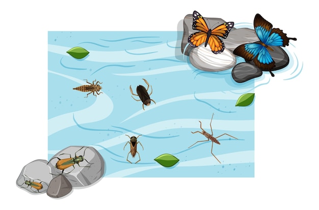 Vista superior de insectos acuáticos en el estanque.