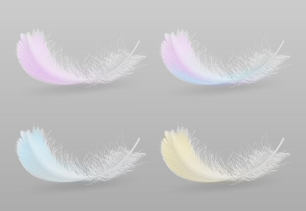Volando o cayendo aves exóticas coloridas plumas esponjosas