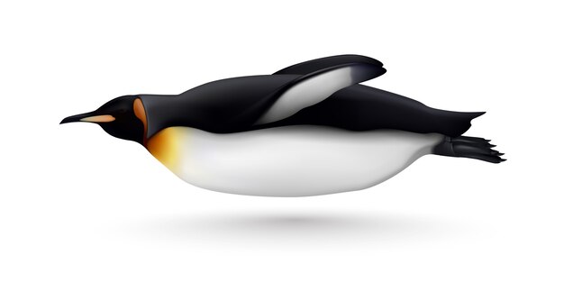 Volando o nadando hermosa pingüino rey closeup vista lateral realista imagen aislada contra blanco
