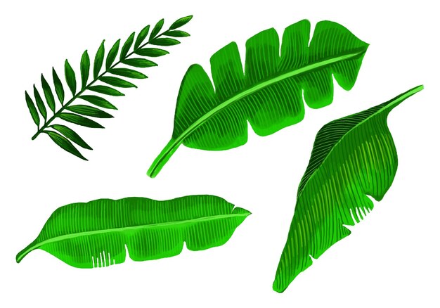X9Diseño de conjunto de hojas verdes de plantas tropicales realistas