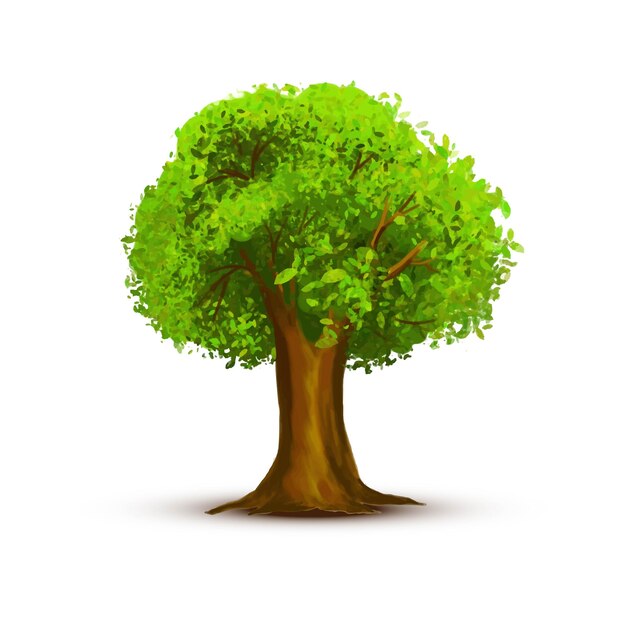 X9Hermoso árbol de paisaje verde sobre fondo blanco