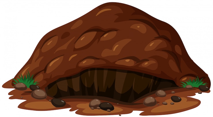 Miễn phí Vector an animal underground habitat on white background