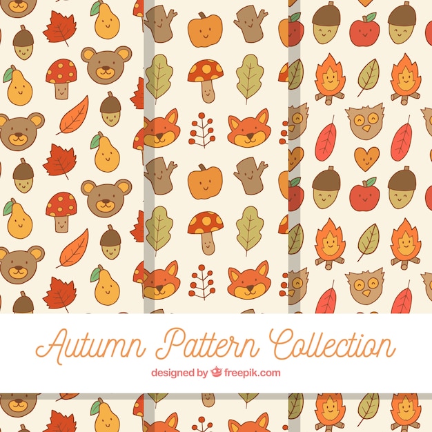 Autumn patterns collection with elements