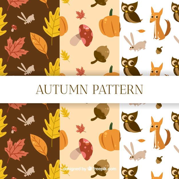 Autumn patterns collection with nature