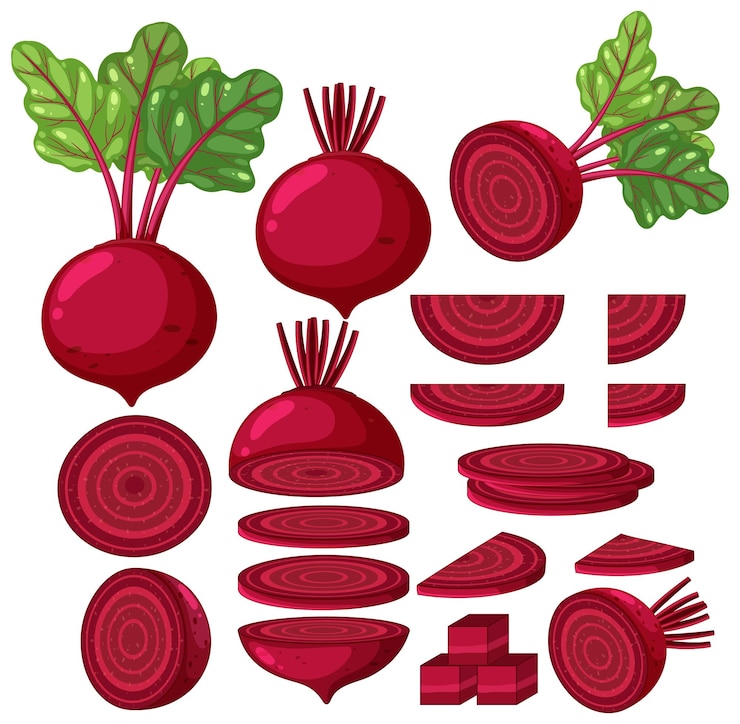 Miễn phí Vector beetroot in whole and sliced pieces