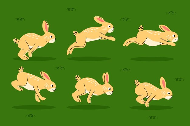 hand drawn animation frames element collection