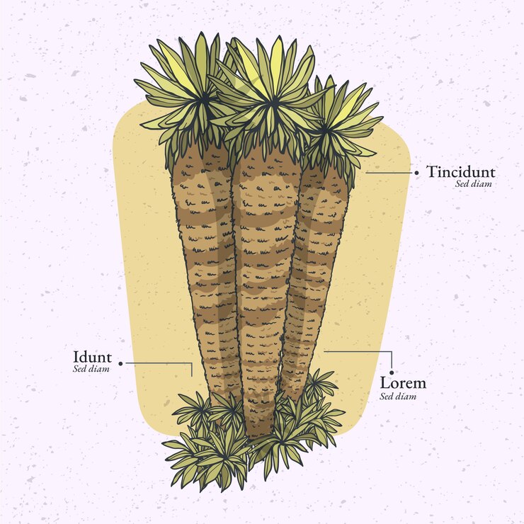 Miễn phí Vector hình ảnh minh họa cây frailejon thiết kế phẳng