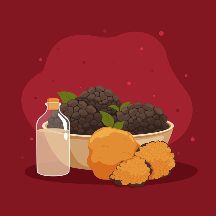 Miễn phí Vector hình ảnh minh họa nấm truffle vẽ tay