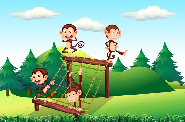 monkey playing at playground