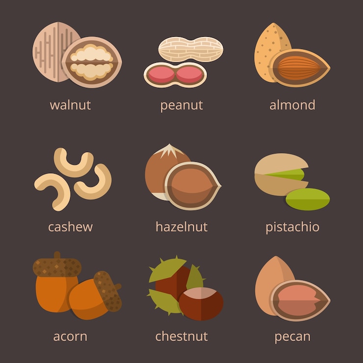 Miễn phí Vector nuts icon flat set. food organic, natural nutrition hazelnut and acorn. 