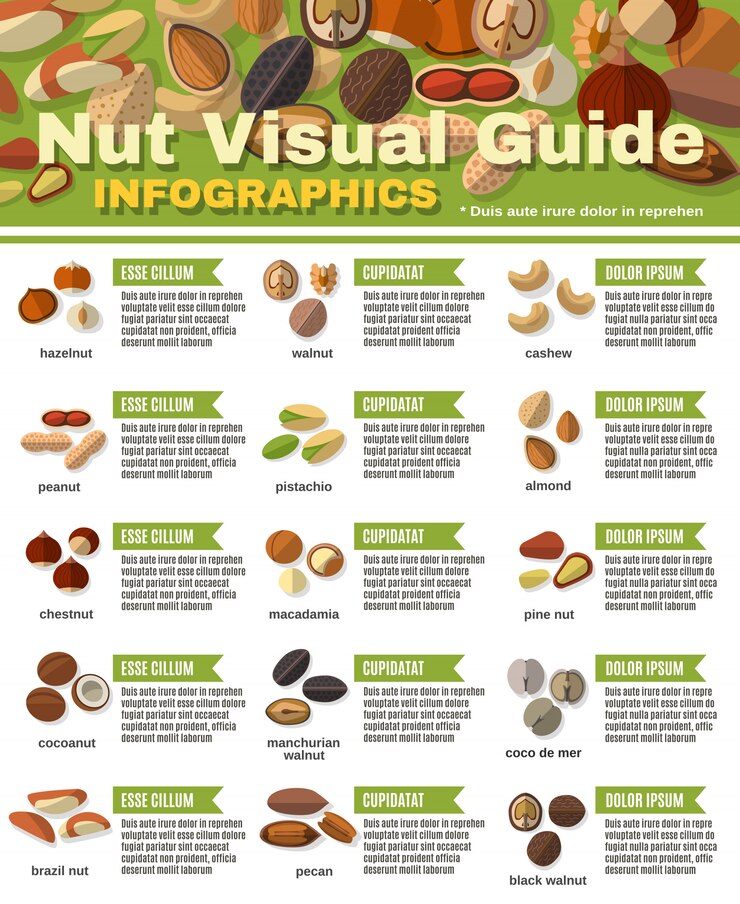 Miễn phí Vector nuts infographics set