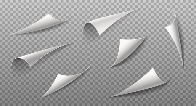 realistic vector illustration Curled paper page corners on transparent background with shadow