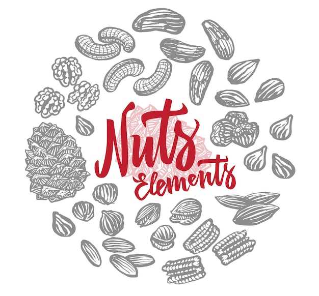 sketch nuts elements round composition