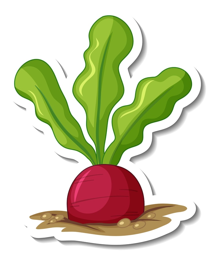 Miễn phí Vector sticker template with beetroot in underground isolated