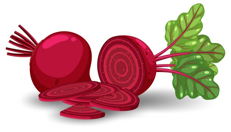 Miễn phí Vector whole beetroot and sliced on white background