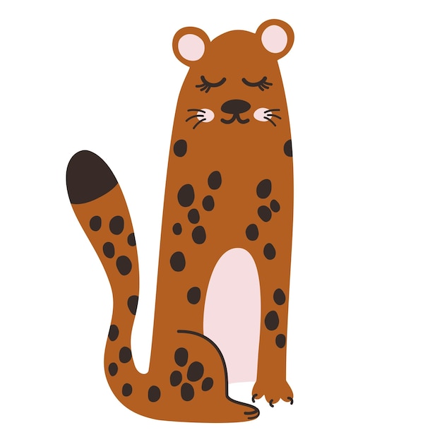 0187_leopardo