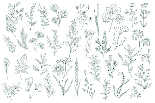06 Plantas