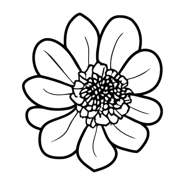 11 Arte de líneas florales