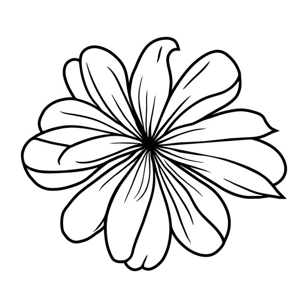 12 Arte de líneas florales
