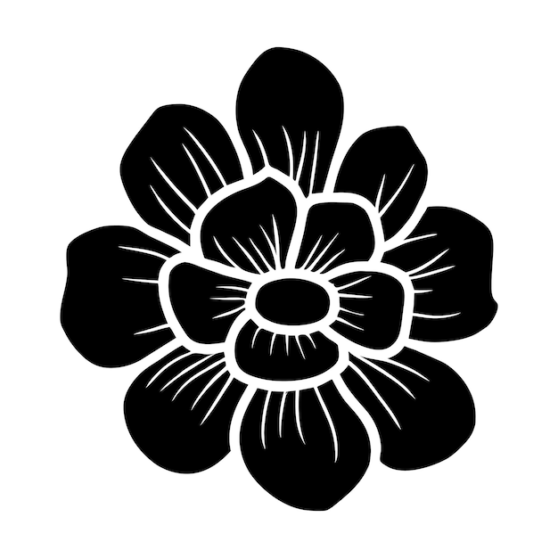 12 Sólido floral
