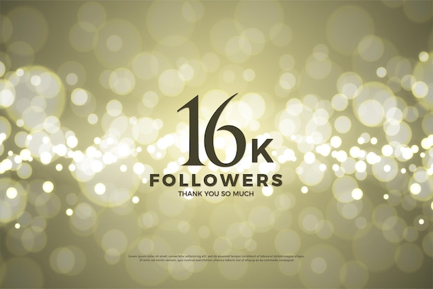 16k seguidores en un fondo brillante.